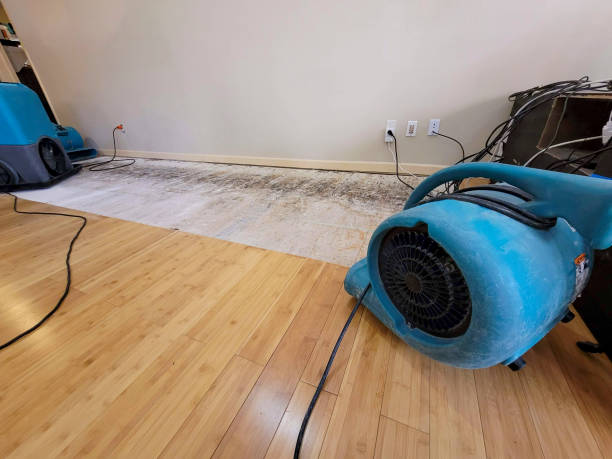 Professional Water Removal technician working in Harrisville, WV